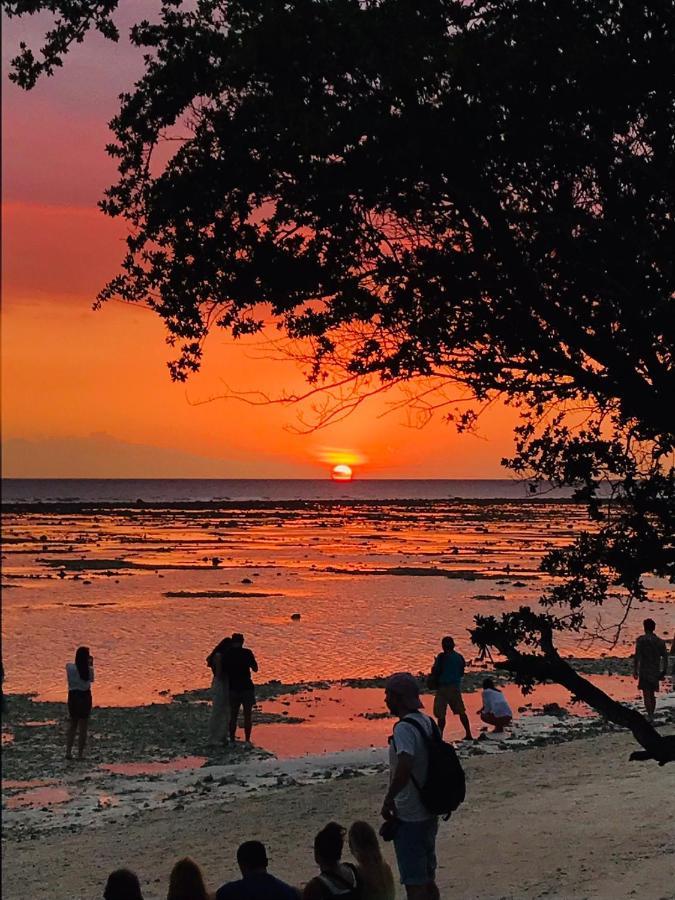 The Exile Sunset Bar & Bungalow Bed & Breakfast *