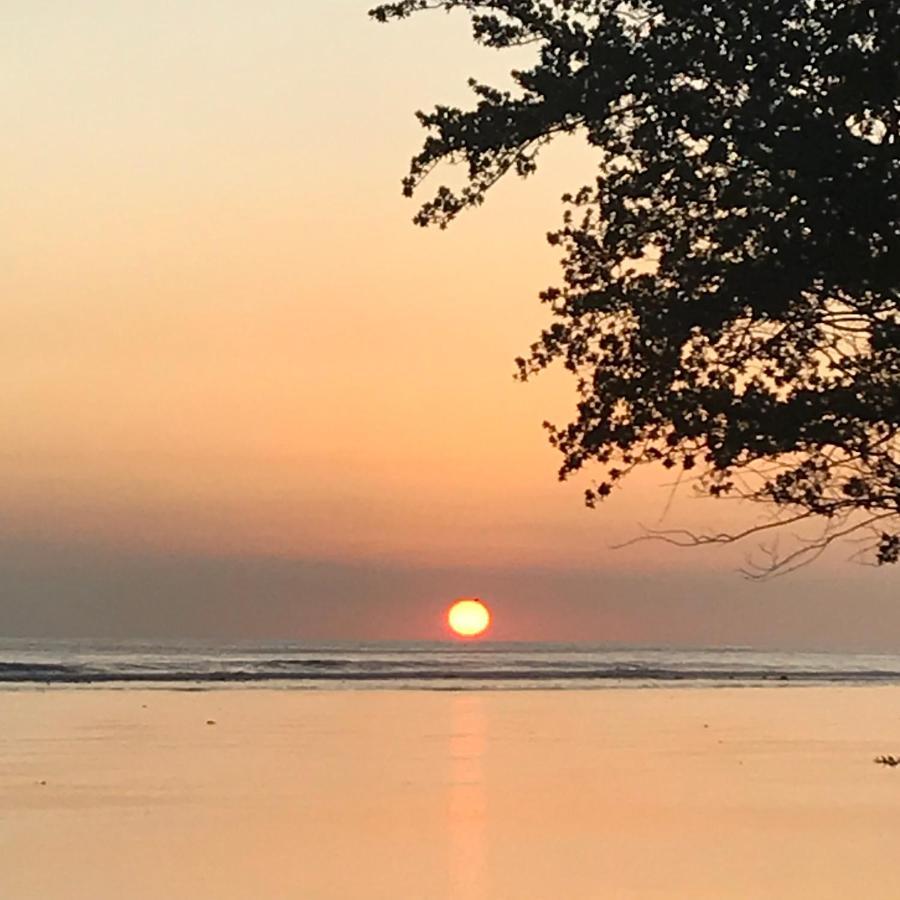The Exile Sunset Bar & Bungalow Bed & Breakfast *